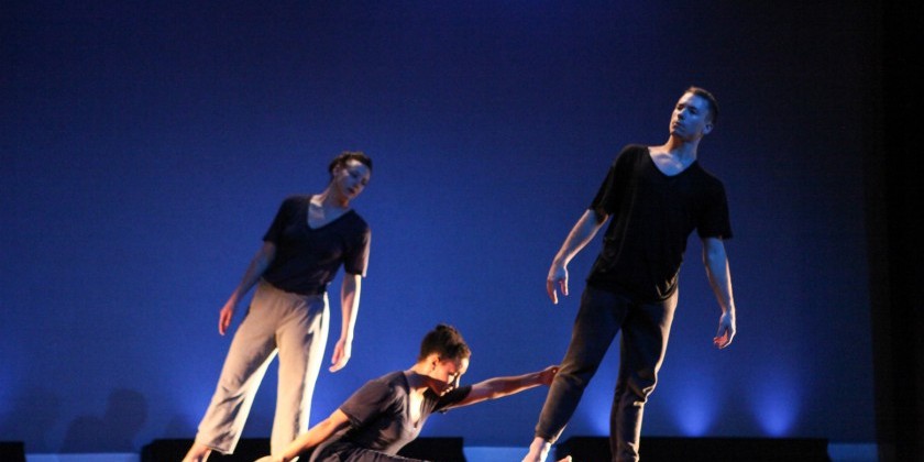 DANCE ON THE LAWN ARTISTS TO PERFORM AT NYC "SUMMERSTAGE"