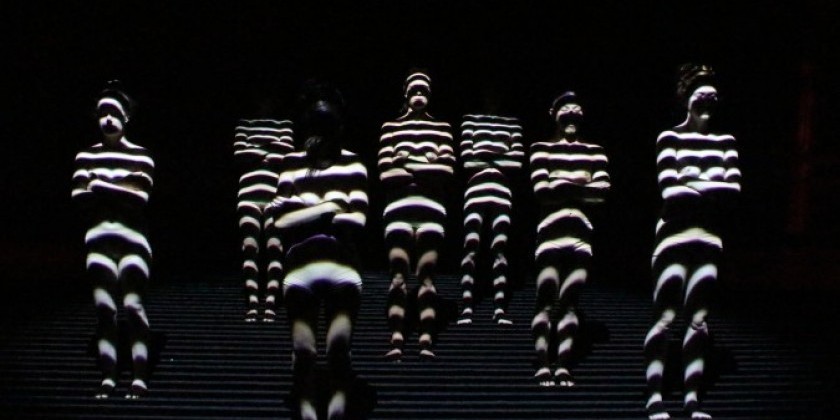 Dance Up Close LEIMAY'S "Becoming-Corpus" premieres at BAM FISHER Sept 12th-15th, 2013