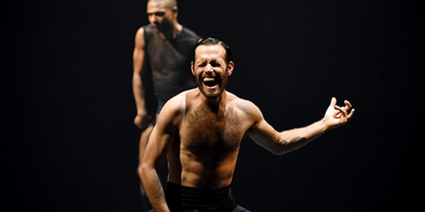 L-E-V at The Joyce Theater