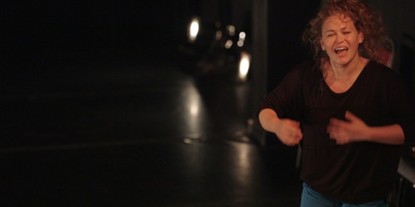 Chez Bushwick's 2-Night Show November: Laurel Snyder  "solosarehardtomake"