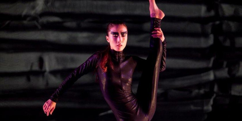 Incubator Series with LeeSaar The Company