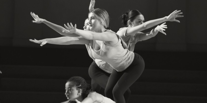 Loco-Motion Spring Performance