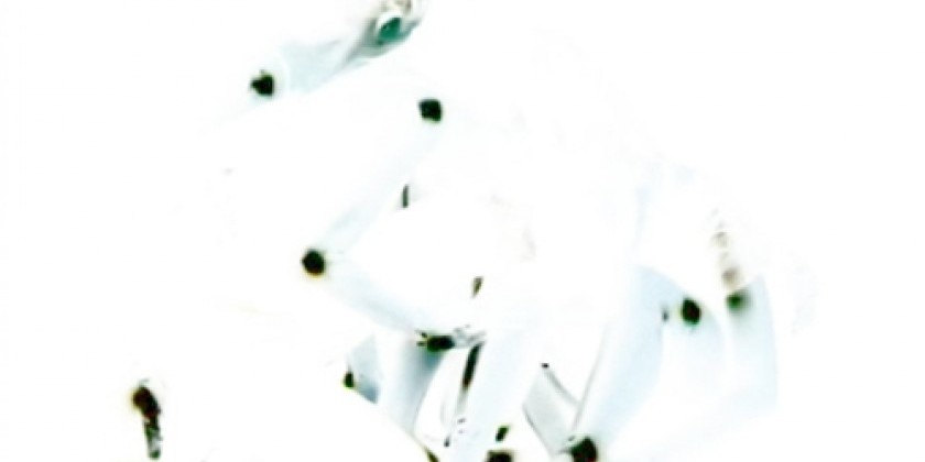 "MOTUS Empath&eacute;s" by Arantxa Araujo 