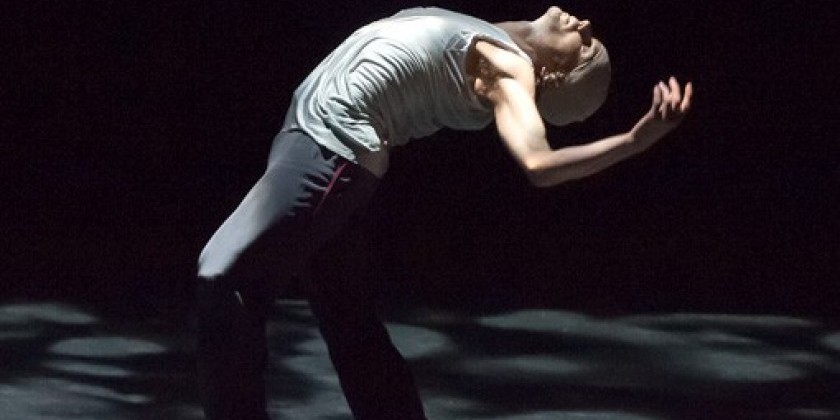 Dance Talk: Russell Maliphant