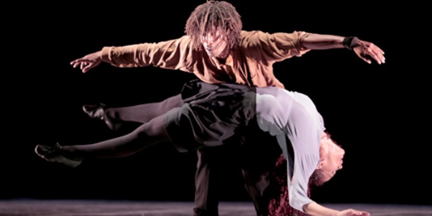Malpaso Dance Company at The Joyce