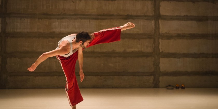 BERLIN, GERMANY: Workshop with MATAN LEVKOWICH: ANIMAL INSTINCT