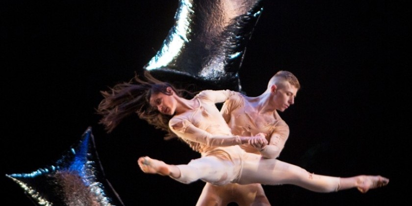 Impressions of Stephen Petronio Company