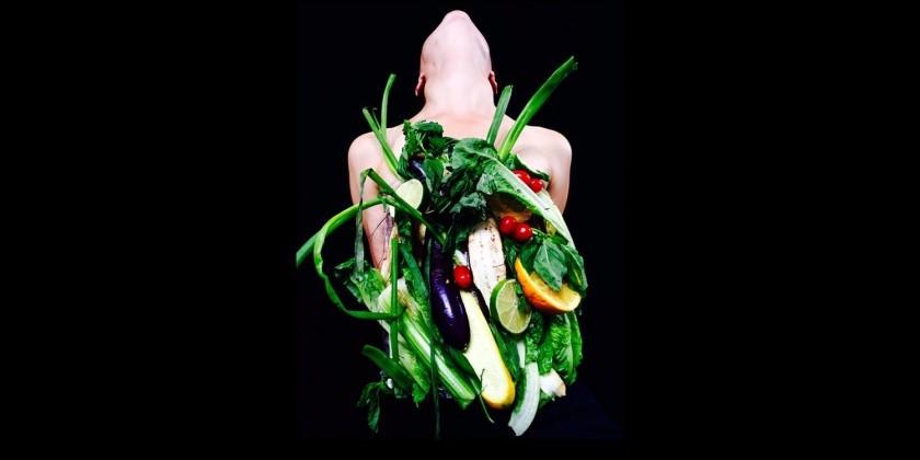 Work Up 2.2: Kimberleigh Costanzo, Mirenka Cechova & Collaborators & Lily Bo Shapiro