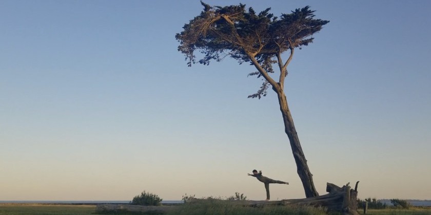 Moss and Other Things