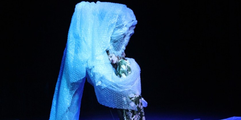 IMPRESSIONS FROM PARIS: Victoria Thierrée-Chaplin's Murmures des murs (Walls that Whisper)