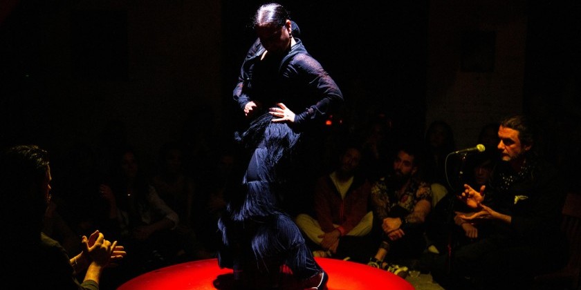 N&eacute;lida Tirado Flamenco Presents "Travesia Flamenca"