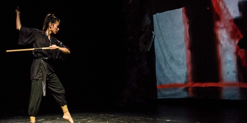 NINJA BALLET 2018 SEASON - The Fusion of Ballet and Martial Arts