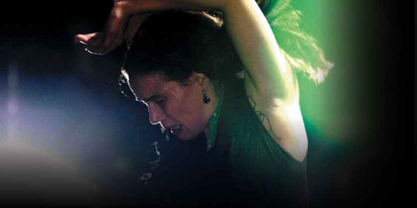 Noche Flamenca's Winter Season