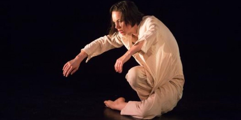 Dance Omi: So You Think You Don&rsquo;t Understand (Modern) Dance?