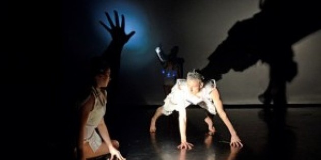 "The Freedom Series" - A Live Installation