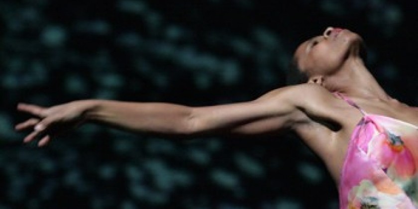 Regina Advento's "Dreamlines"