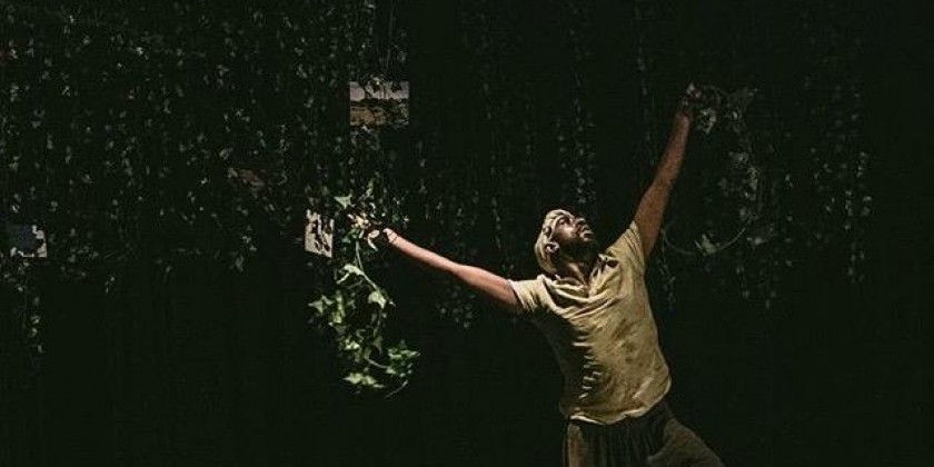 La MaMa Announces Full Schedule of Performances and Events for La MaMa Moves! Dance Festival, May 12&ndash;23