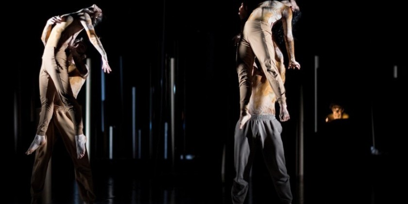 Rehearsal for Truth 2024: Dark Dreams 