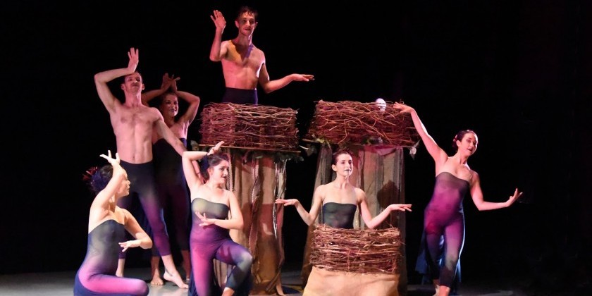 Alison Cook Beatty Dance shines at Peridance in 2018 Fall Season