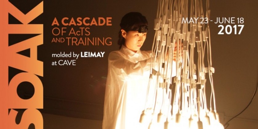 Call For SOAK 2017 Volunteers!