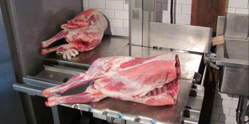 Carrie Ahern Dance PRESENTS Borrowed Prey: Part II