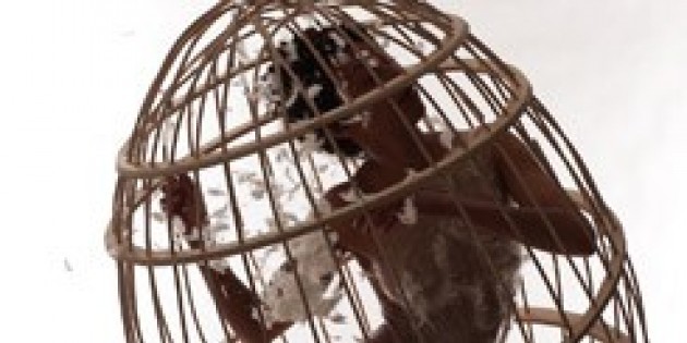 A Place of Sun + Terra Firma