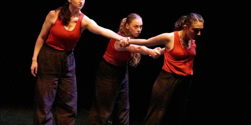 Chutzpah Dance presents "Mesh"