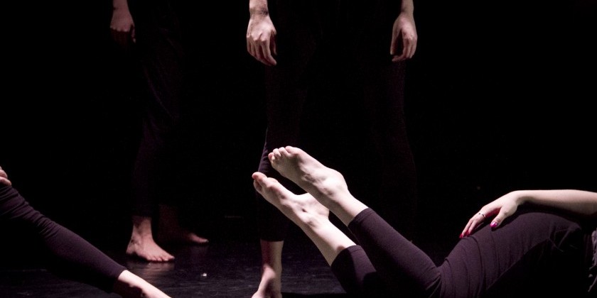 BIOMORPHIC DANCE FESTIVAL IV 