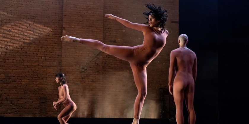 Trisha Brown Dance Company Seeks Female and Non-binary Dancers (DEADLINE: NOVEMBER 20)