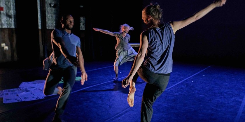 La MaMa Moves! Dance Festival: Tiffany Mills Company presents "Homing"