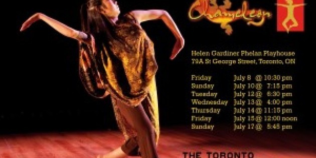 Chameleon, the experience of Global Citizens