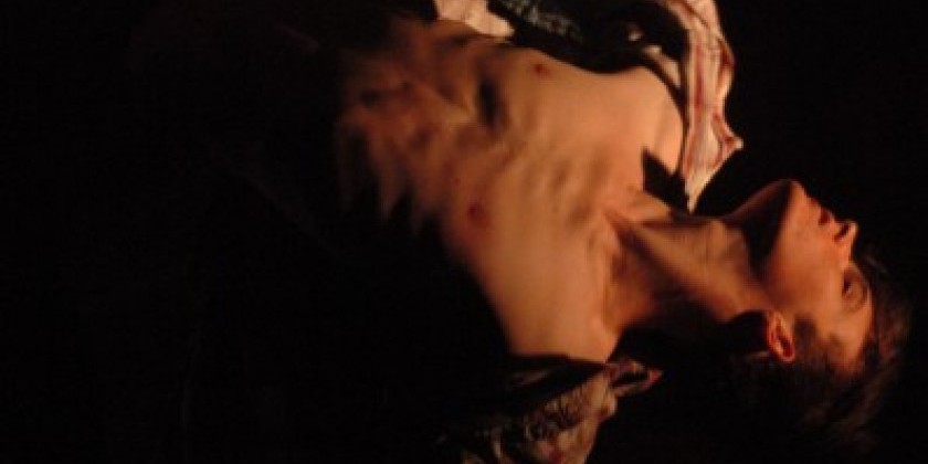 CaptiveFlow Dance needs high caliber dancers (MALE AND FEMALE)