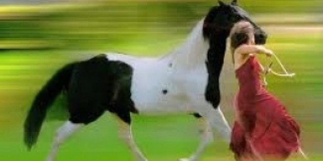 Dancers Intensive June 18th-23rd