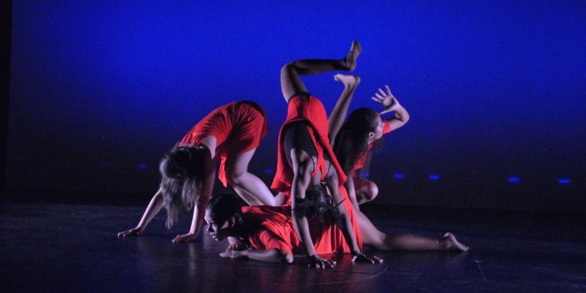 Loco-Motion Spring Dance Performance