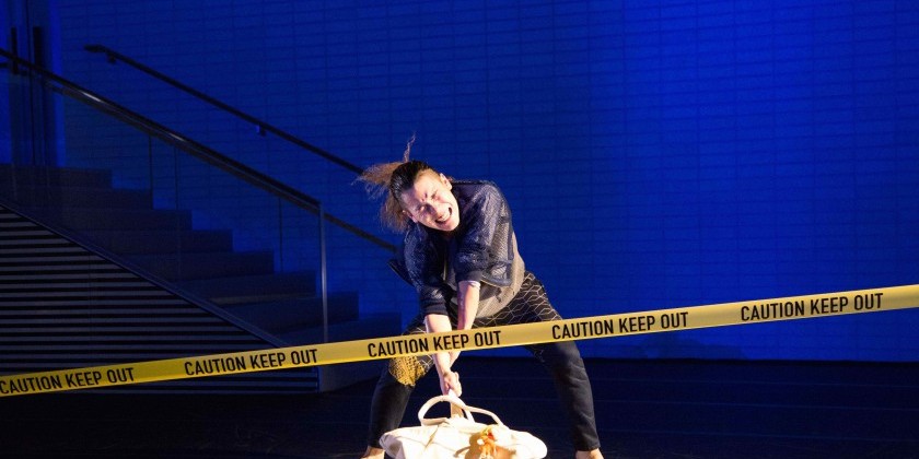 "The Unknown Dancer in the Neighborhood" at Japan Society 