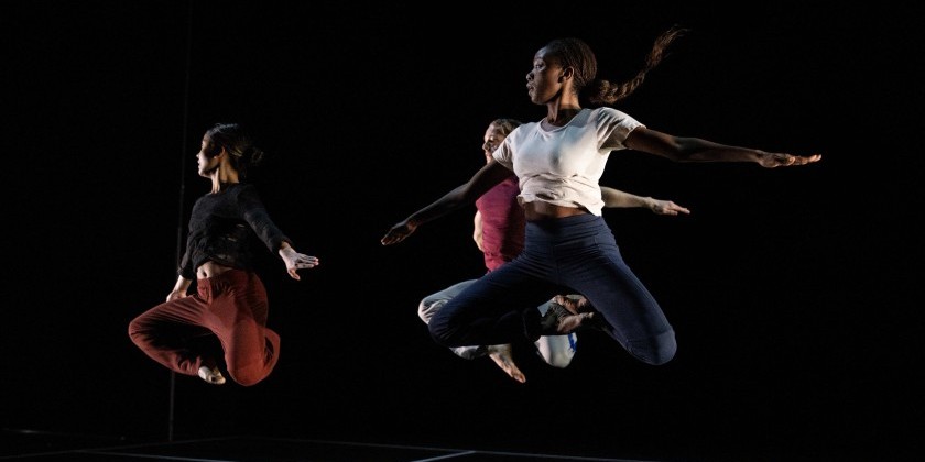 Bill T. Jones/Arnie Zane Company outdoor site specific work on Long Island (FREE)