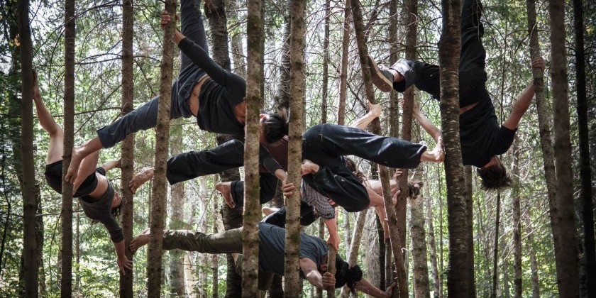 Artpark and Modern Disposal Services present "Power of Niagara," a celebration of arts, nature and a sustainable future