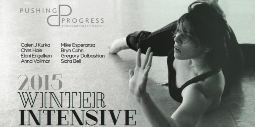 Pushing Progress 2015 Winter Intensive