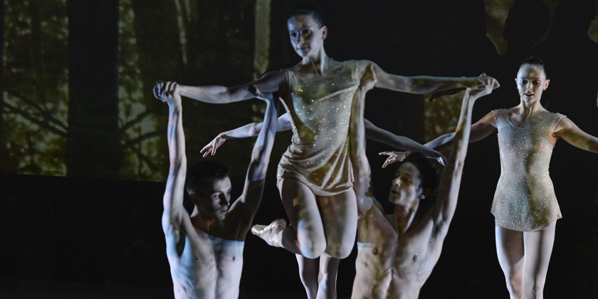 TOM GOLD DANCE presents 2 WORLD PREMIERES