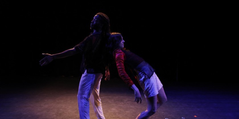 Winter/Spring 2024: Marketing/ Media, Development/ Special Events, and Arts Management Internships