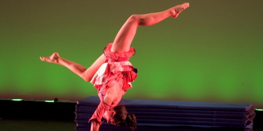 Artichoke Dance Company seeks Administrative Assistant