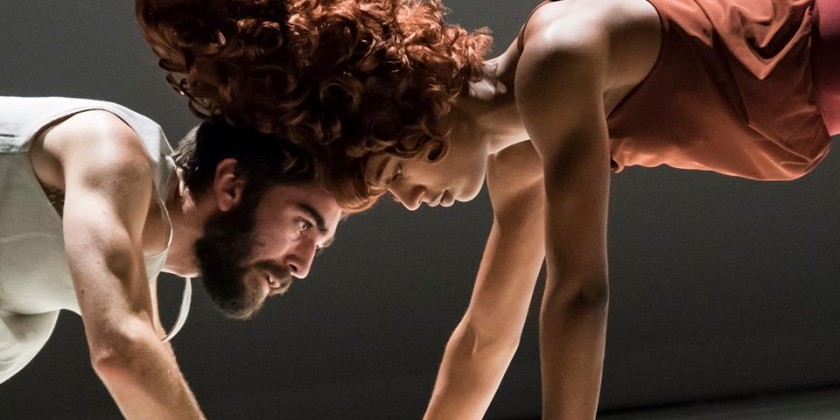 Hiring Executive Director for Kyle Abraham/Abraham.In.Motion