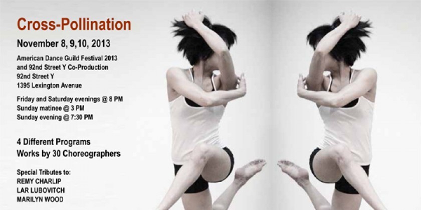 American Dance Guild Festival 2013&rlm;