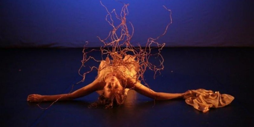 This Weedend! American Dance Guild's "Bare Bones Concert" 2014&rlm; 