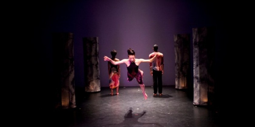 Amanda Selwyn Dance Theatre presents the World Premiere of RENEWAL