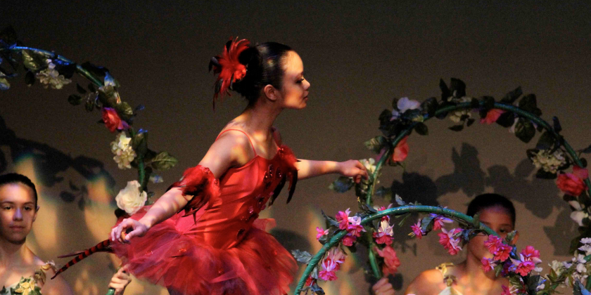 Assistant to the Director at Ballet des Am&eacute;riques School & Company, Inc.