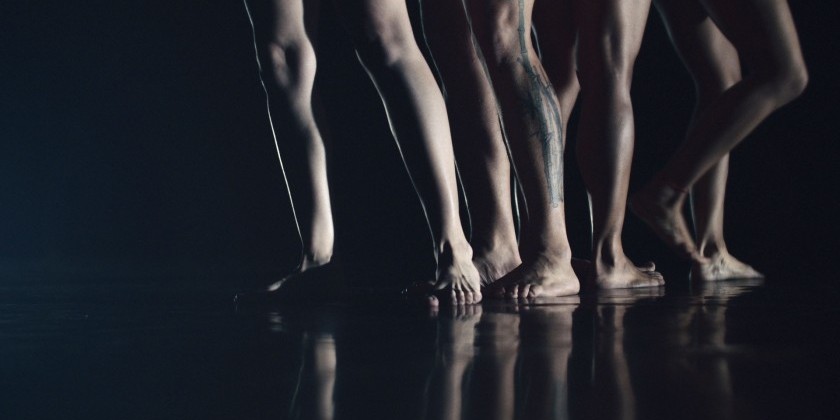 "J&rsquo;ai pleur&eacute; avec les chiens (Time, Creation, Destruction)" by Daina Ashbee