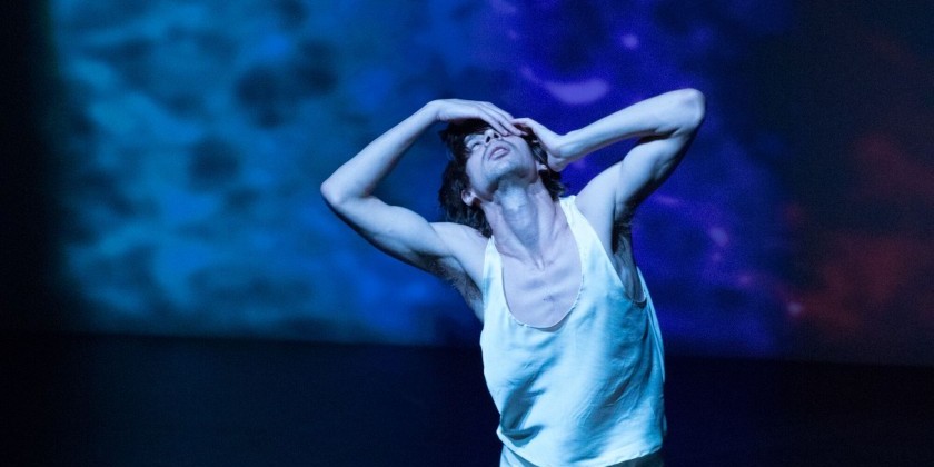 ZVIDANCE presents the World Premiere of MAIM (Water&nbsp;in Hebrew)