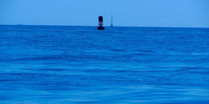 Film BELL 8 Launches at Lilac Preservation Project