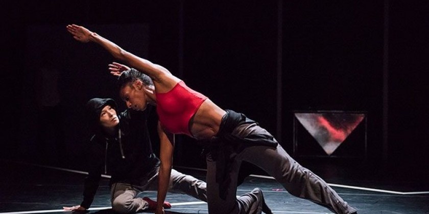 BILL T. JONES/ARNIE ZANE COMPANY : A LETTER TO MY NEPHEW